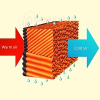 Greenhouse evaporative water cooling pad