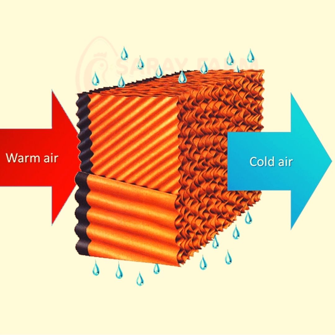 greenhouse cooling pad