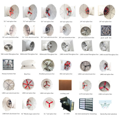 Factory Diverse Cooling Fan For Different Application