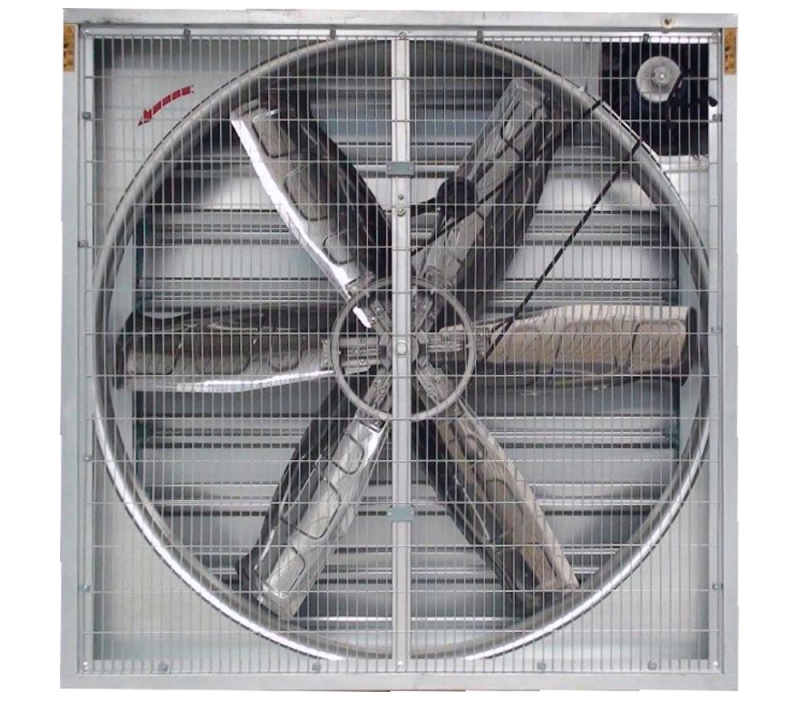 Greenhouse ventilation exhaust hammer fan