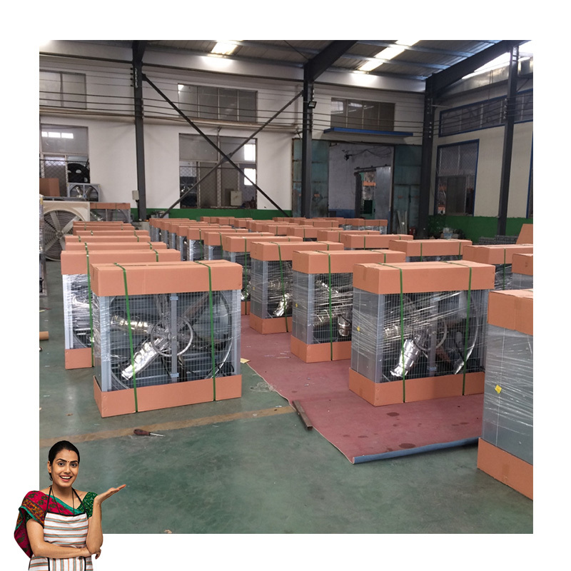 Poultry farm negative hot galvanized cooling exhaust fan