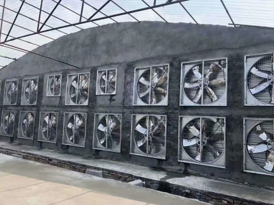 Livestock breeding with cooling fan system installation application