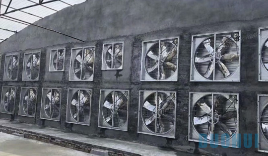 Negative pressure exhaust fan for farming and animal husbandry