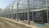 Wall mounted ventilation exhaust fan greenhouse fan
