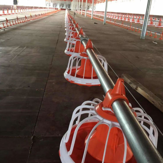 Poultry farm equipment feeding & drinking line