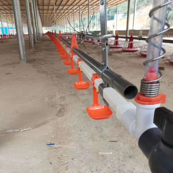 Poultry farm equipment