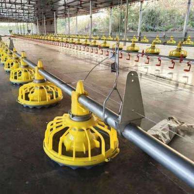 Poultry farm equipment feeding and drinking system