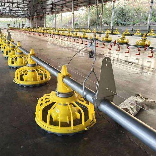 Poultry farm equipment feeding and drinking system