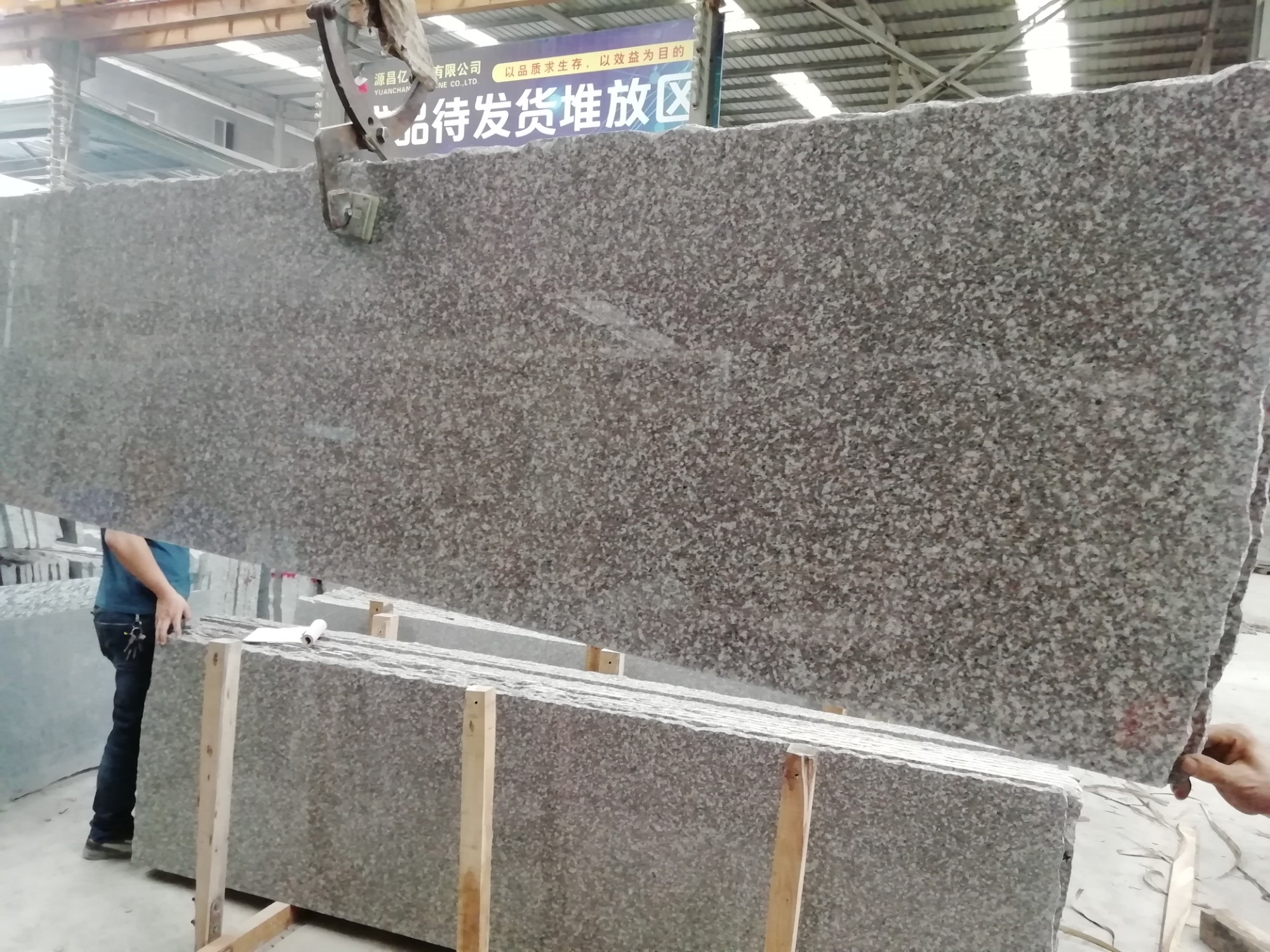 Supply G664 Granite Wholesale Factory Xiamen Carmel Stone Coltd