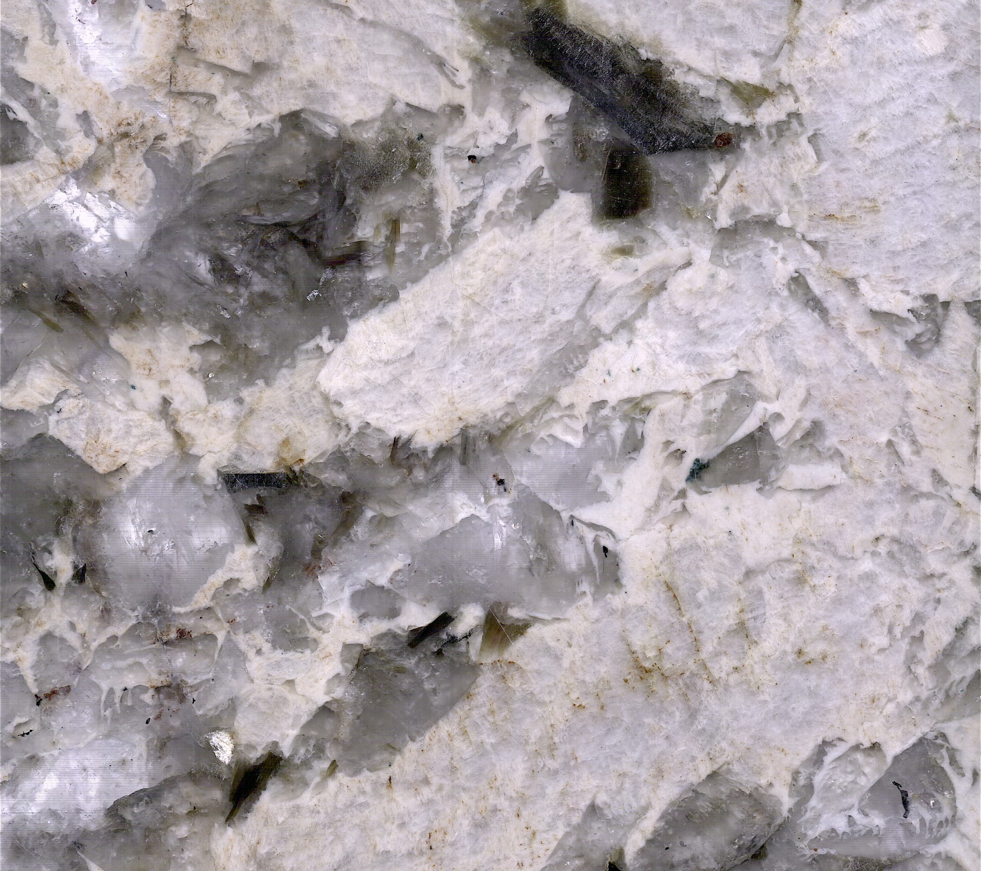 Alaska White Granite （Peacock Speads）