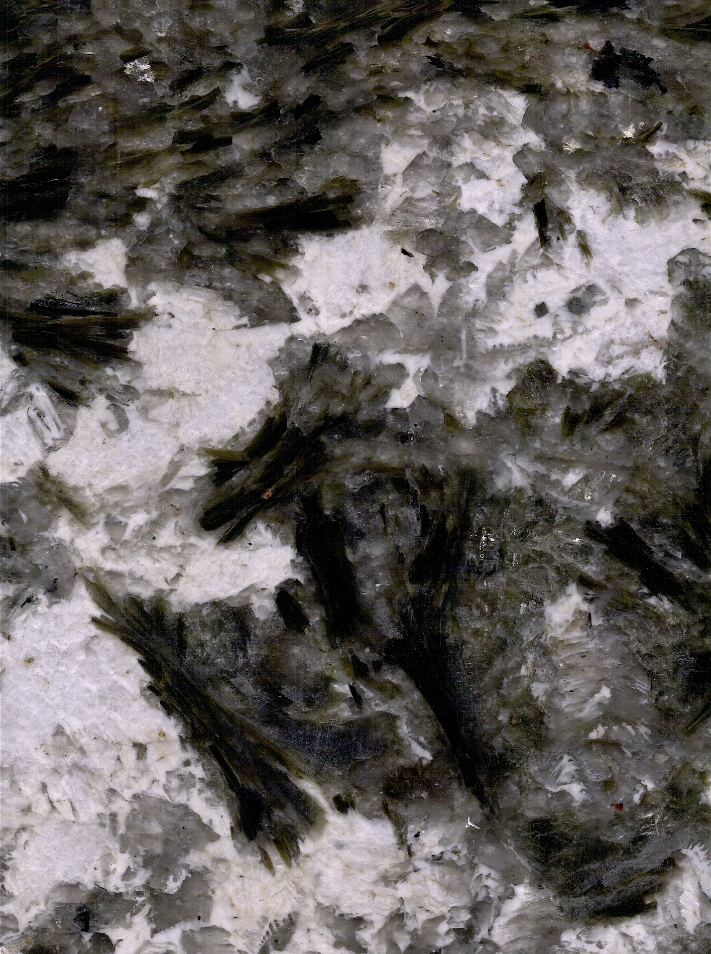 Alaska White Granite （Peacock Speads）