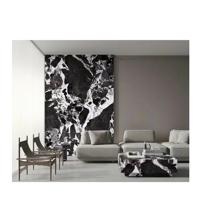 Noir Grand Antique Marble Slabs Wall Panel