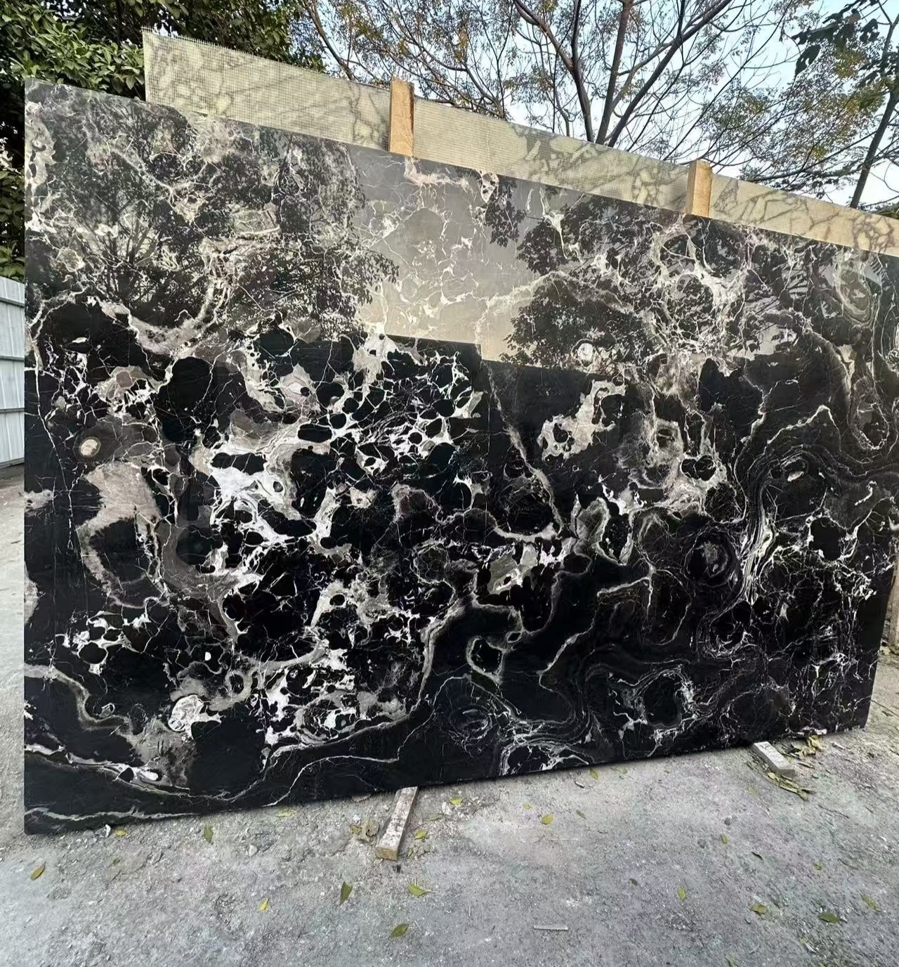 Black Rose Marble