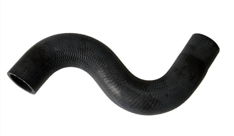 Radiator Coolant Hose