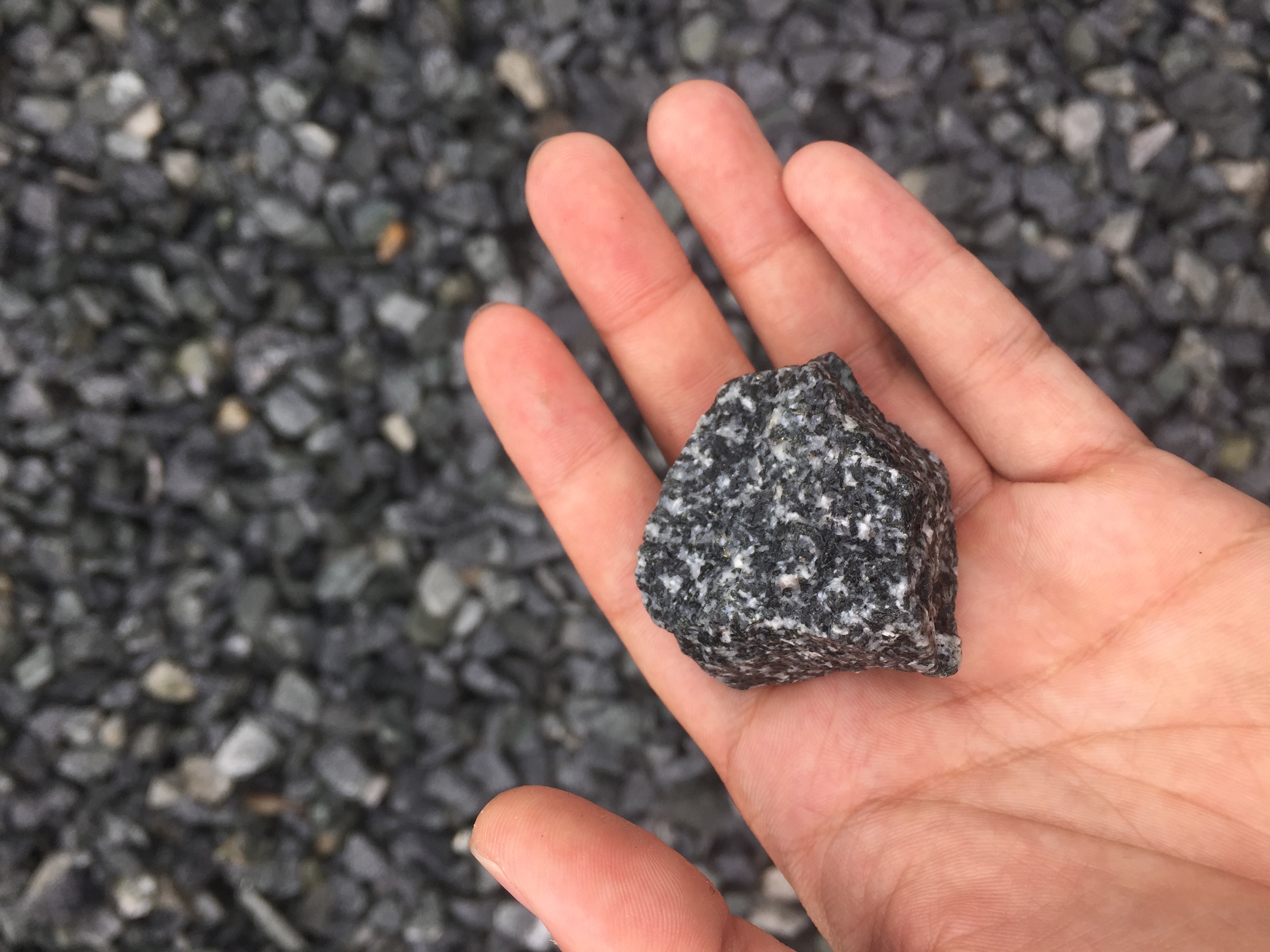 Como, de acordo com a própria compra do Triturador correspondente, resumi os quatro elementos a seguir: