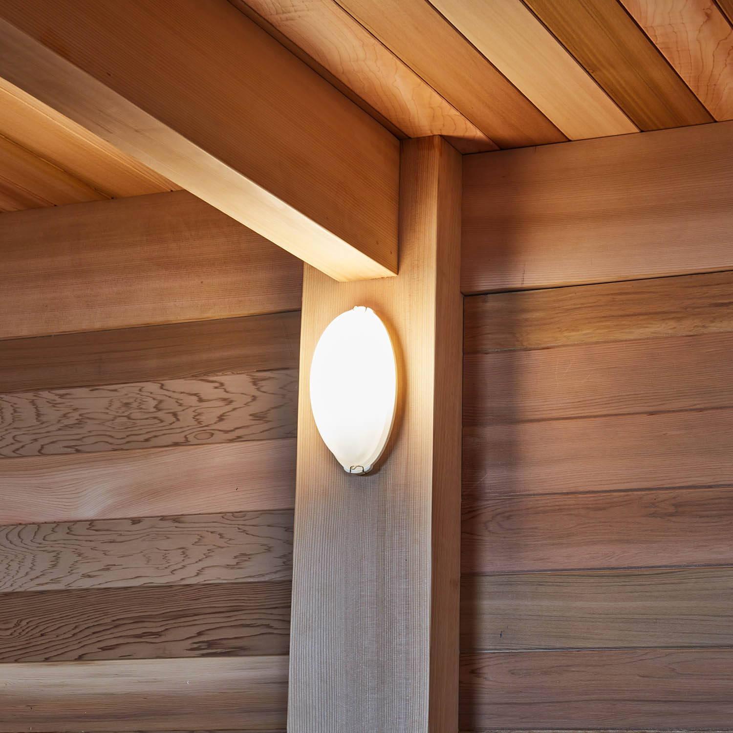 outdoor garden wooden sauna room WS-2020LT