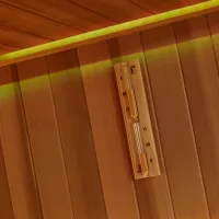 sauna de jardim ao ar livre sauna a vapor WS-LT1500