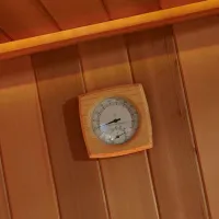 sauna de jardim ao ar livre sauna a vapor WS-LT1500