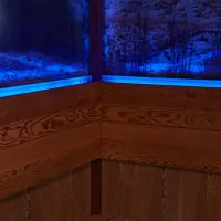 Sauna de luxe en cèdre rouge pour sauna et hiver WS-1906