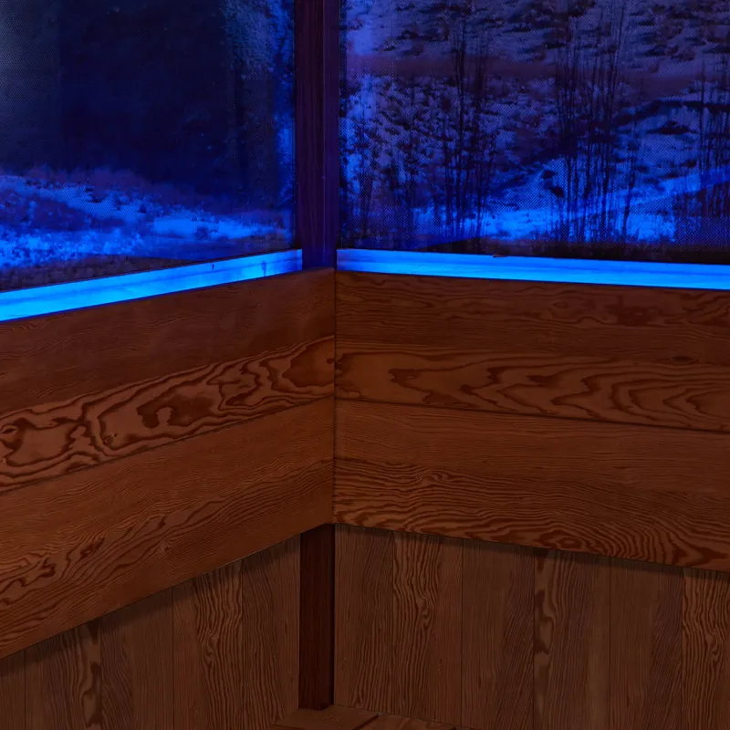 Sauna de luxe en cèdre rouge pour sauna et hiver WS-1906