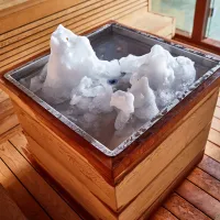 Sauna de luxe en cèdre rouge pour sauna et hiver WS-1906