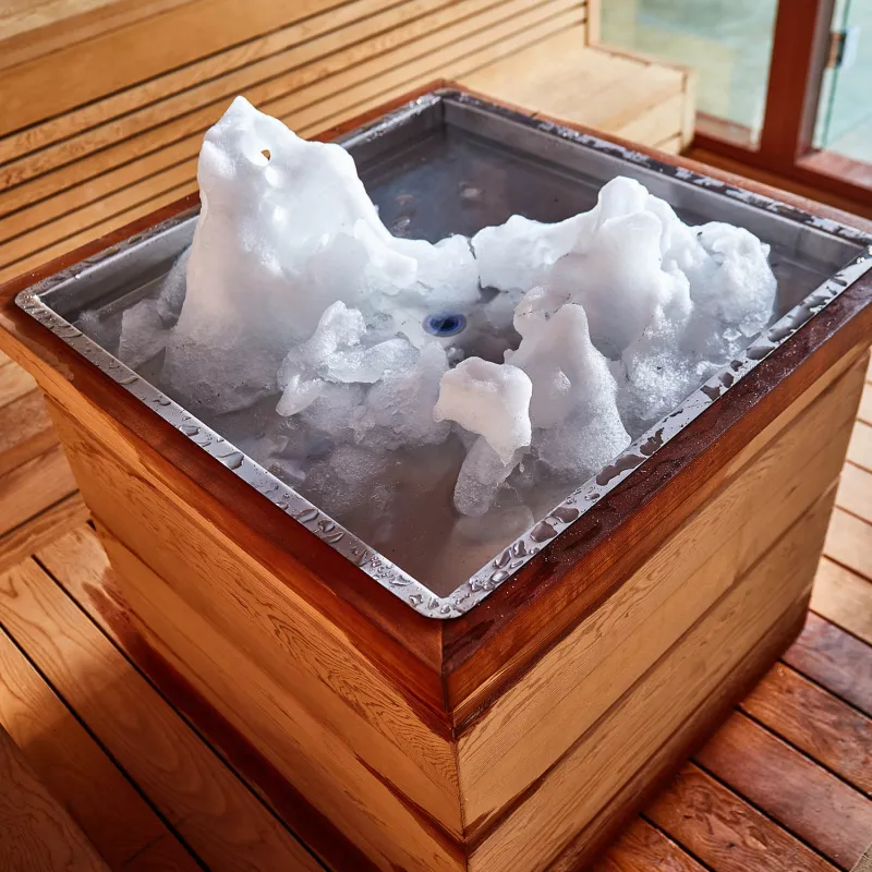 Sauna de luxe en cèdre rouge pour sauna et hiver WS-1906