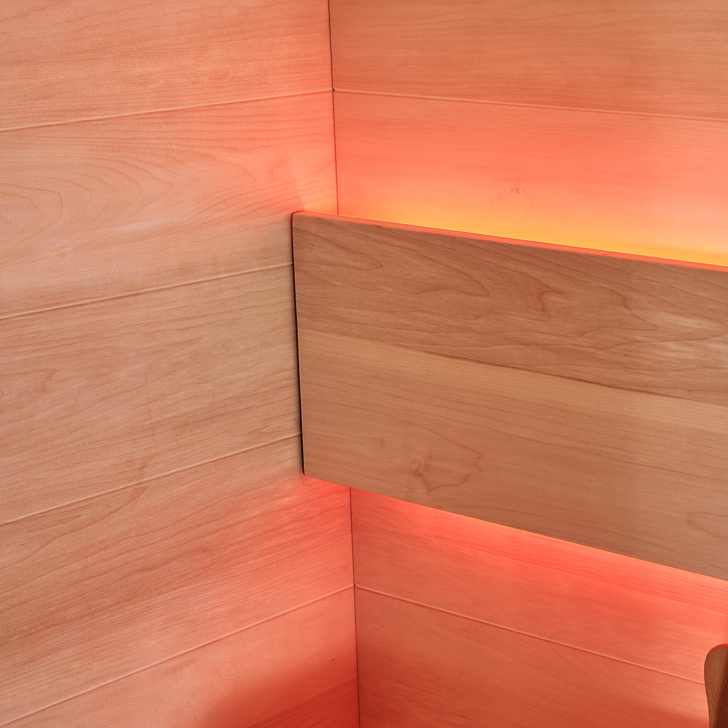 living room coed steam sauna bath WS-1903