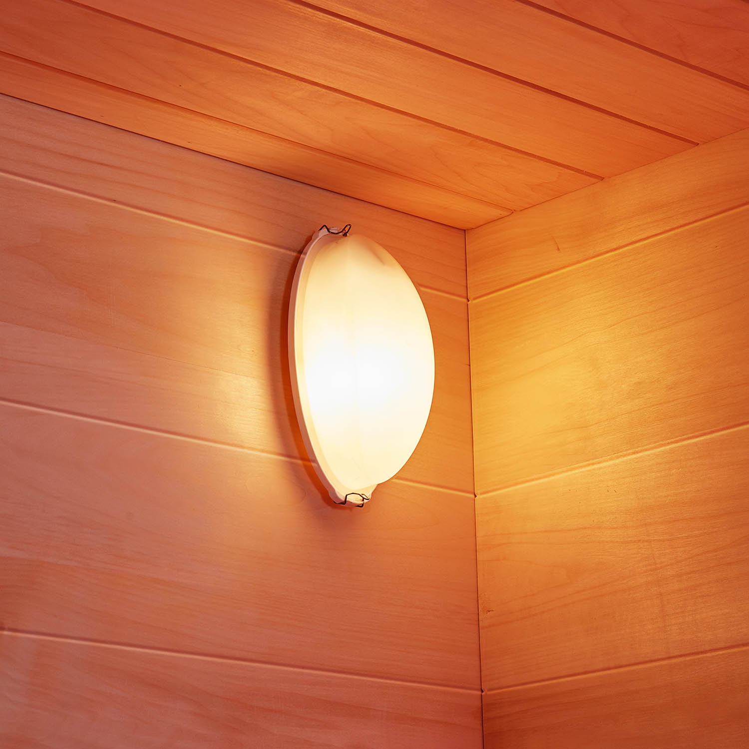 living room coed steam sauna bath WS-1903
