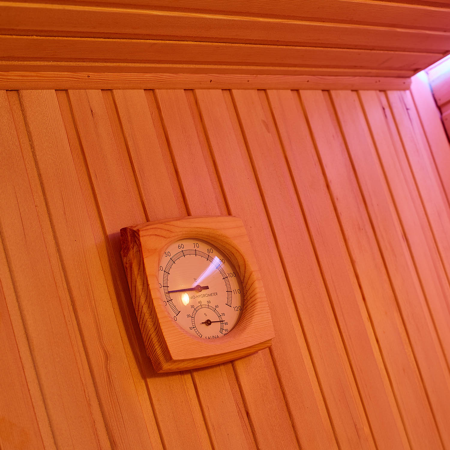 home freestanding dry sauna room WS-1602SN