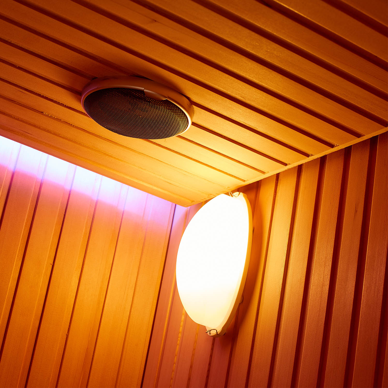 bathroom computer luxury sauna room WS-1601SN