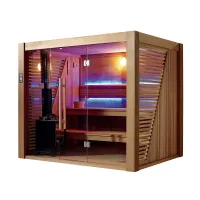 casa de luxo sauna seca a vapor WS-1502