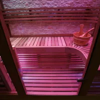sauna sec et hammam de luxe WS-1223