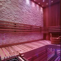 sauna sec et hammam de luxe WS-1223