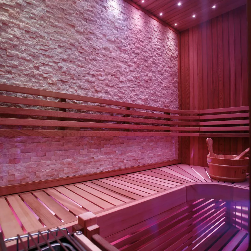 sauna sec et hammam de luxe WS-1223