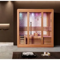 sauna sec et hammam de luxe WS-1223