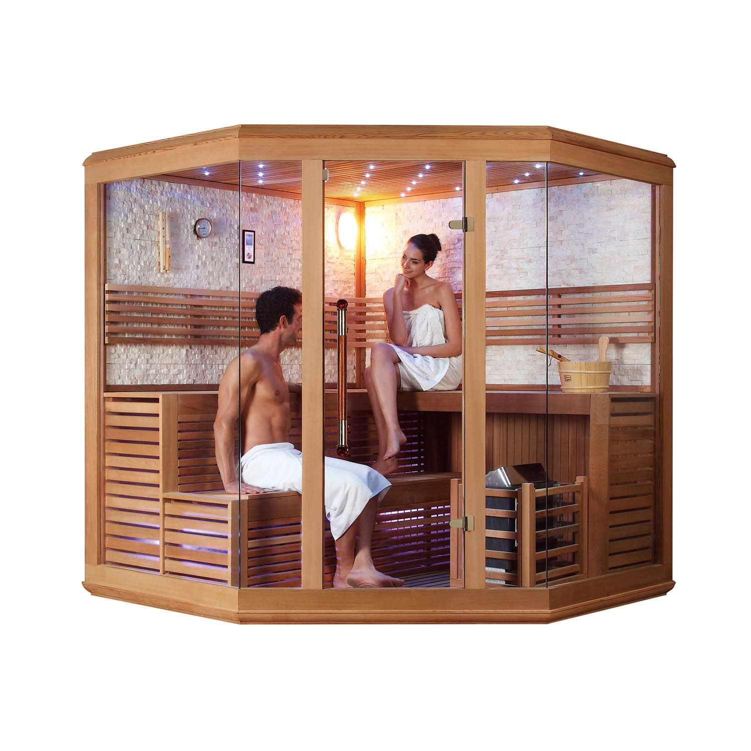 indoor computer sauna room WS-1221