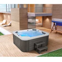 Bains à remous de luxe pour 5 personnes spa haut de gamme WS-591