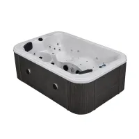 4 personnes afforable bain à remous jardin spa WS-099