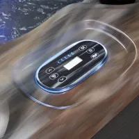 Système de chauffage de piscine spa de luxe pour 5 personnes baignoire spa WS-592H