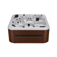 6 person luxury health day spa private spas hottubs WS-298H