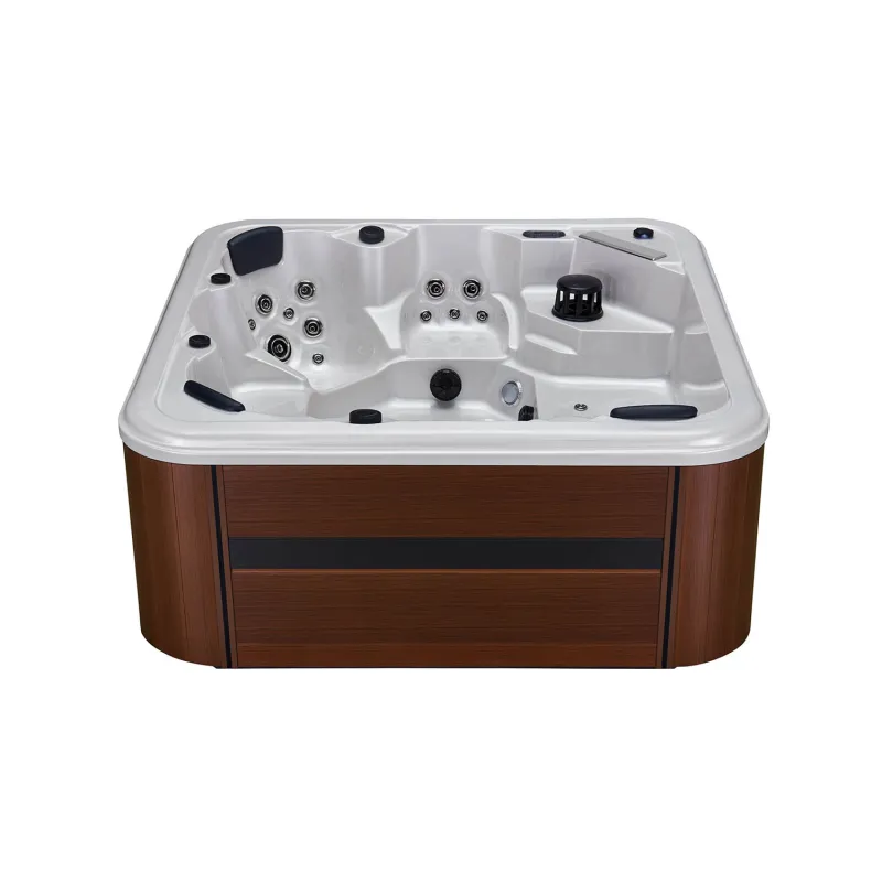 6 person luxury health day spa private spas hottubs WS-298H