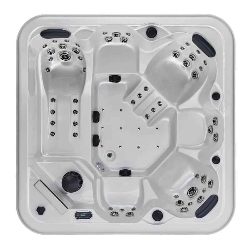 6 person luxury health day spa private spas hottubs WS-298H