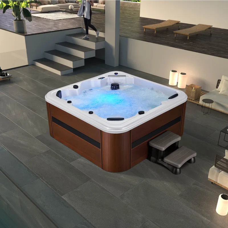 6 person luxury health day spa private spas hottubs WS-298H