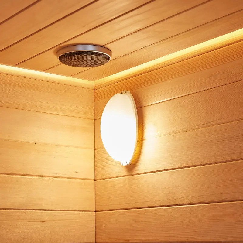 sauna de luxe en bois dans la maison WS-YL07
