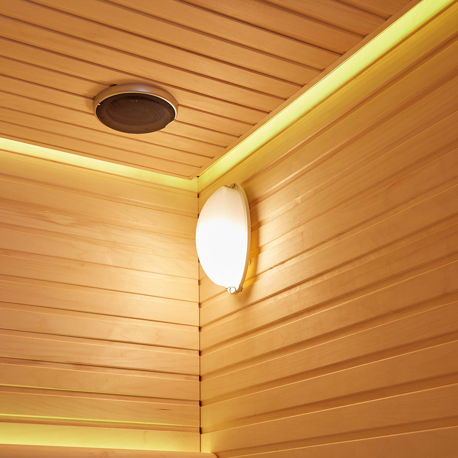 indoor computer dry sauna room WS-YL10