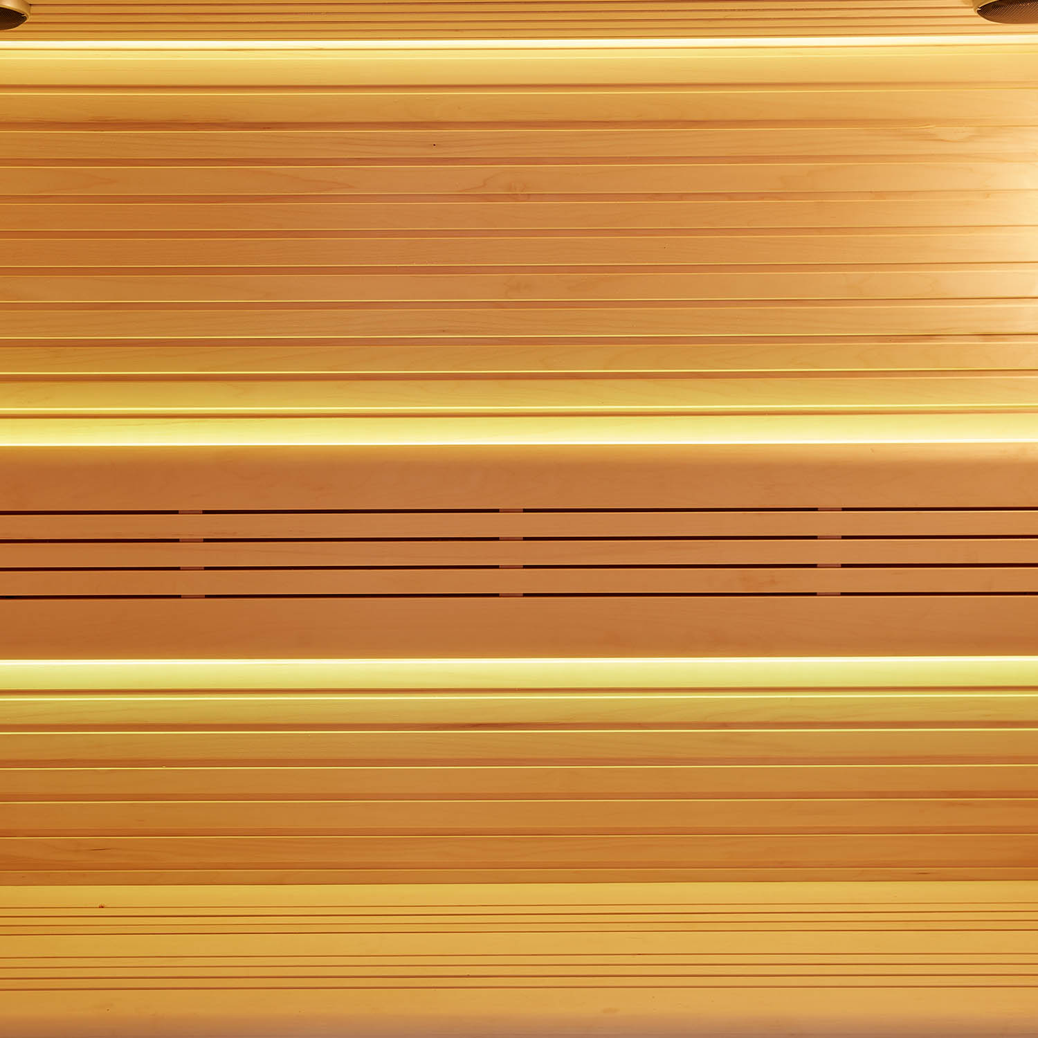 indoor computer dry sauna room WS-YL10
