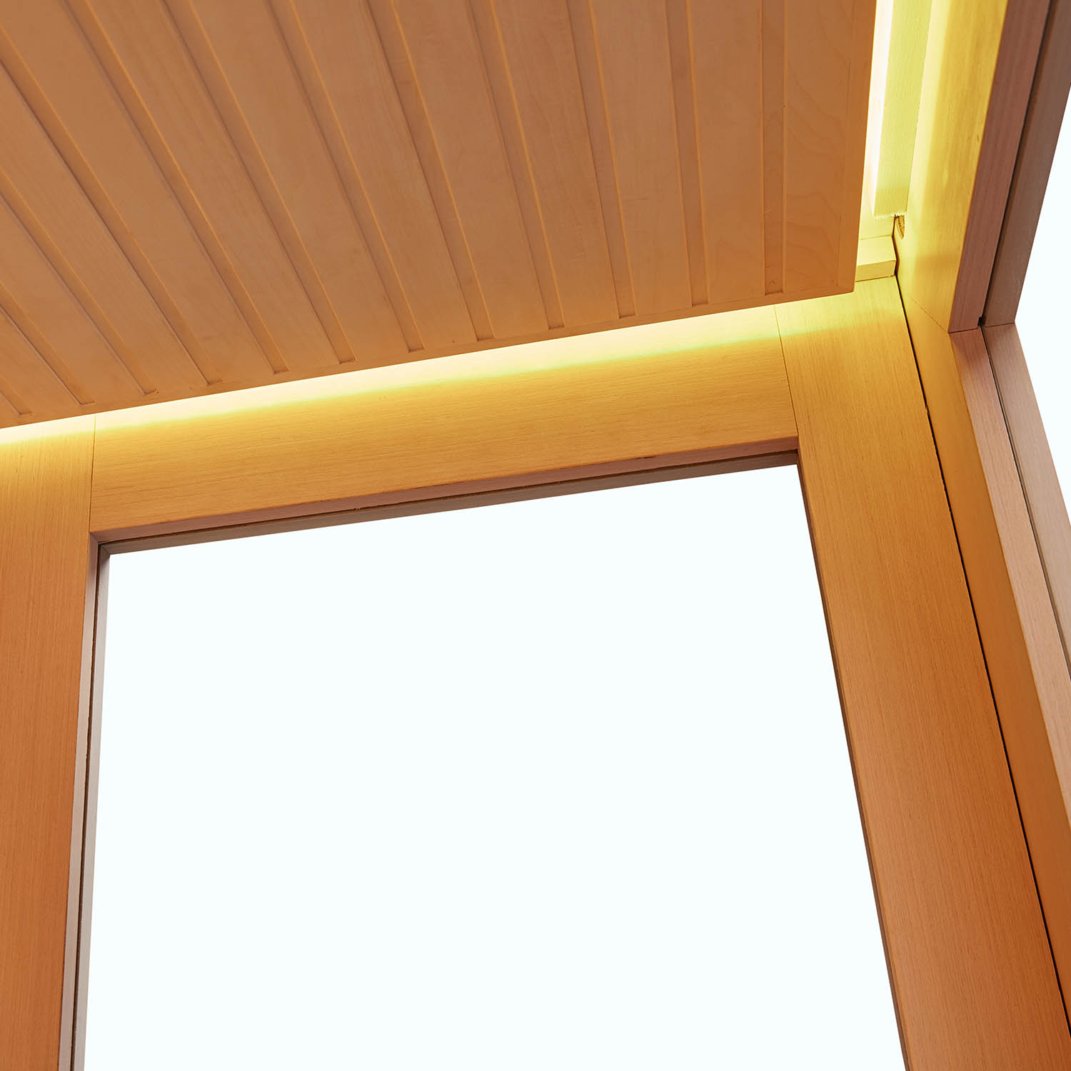 freestanding infrared dry sauna room WS-YL11