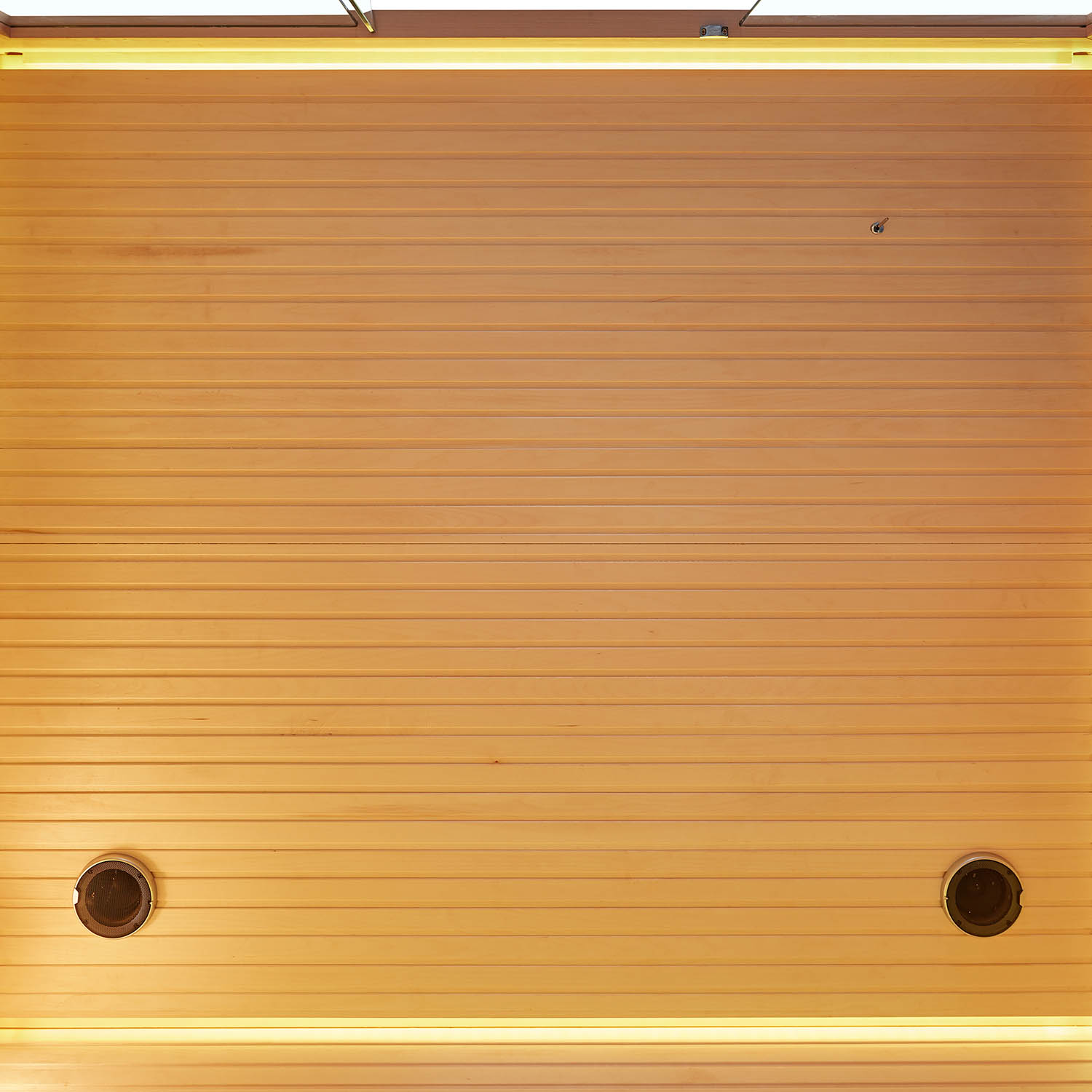 freestanding infrared dry sauna room WS-YL11