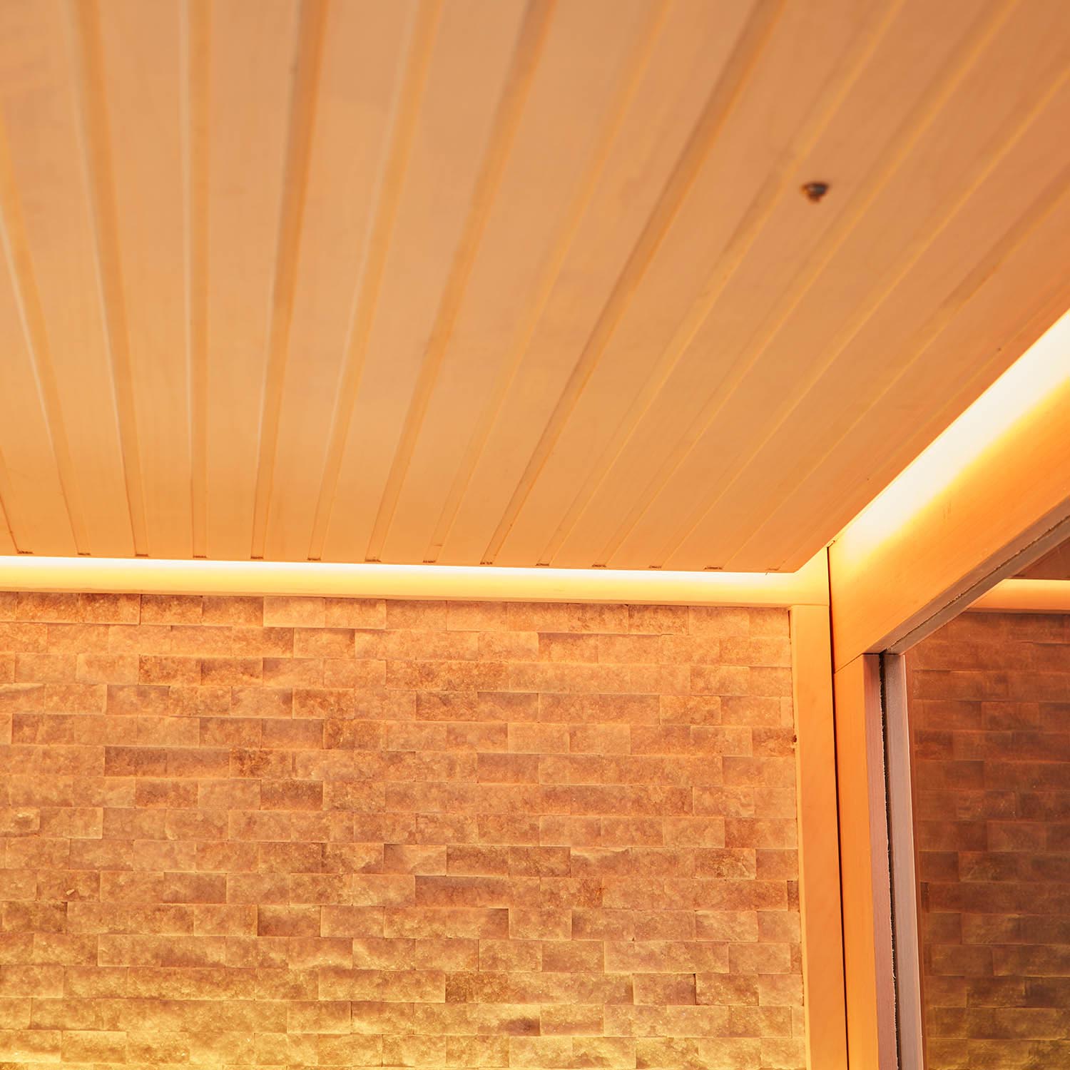 wooden steam sauna bath at home WS-YL14
