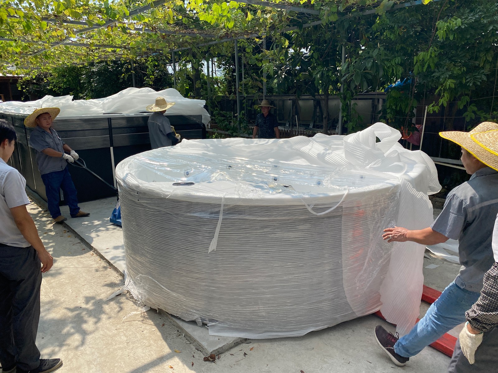 swim spa tub